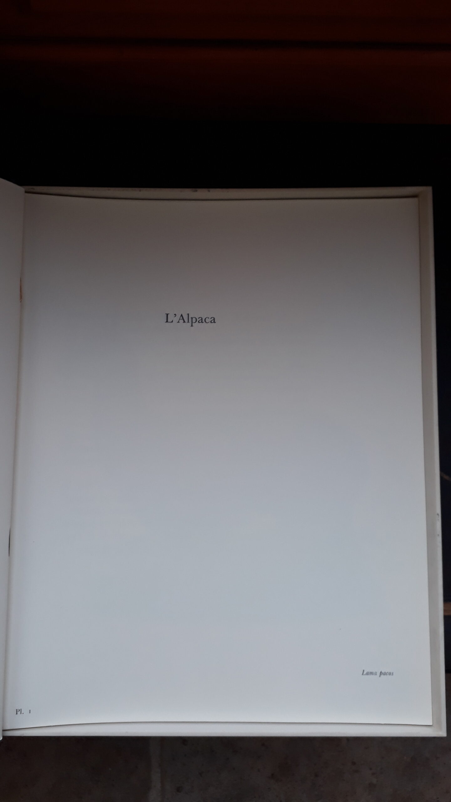 Collection Larousse : livres la vie des animaux Grassé (Pierre-Paul) La vie des animaux. – Image 9