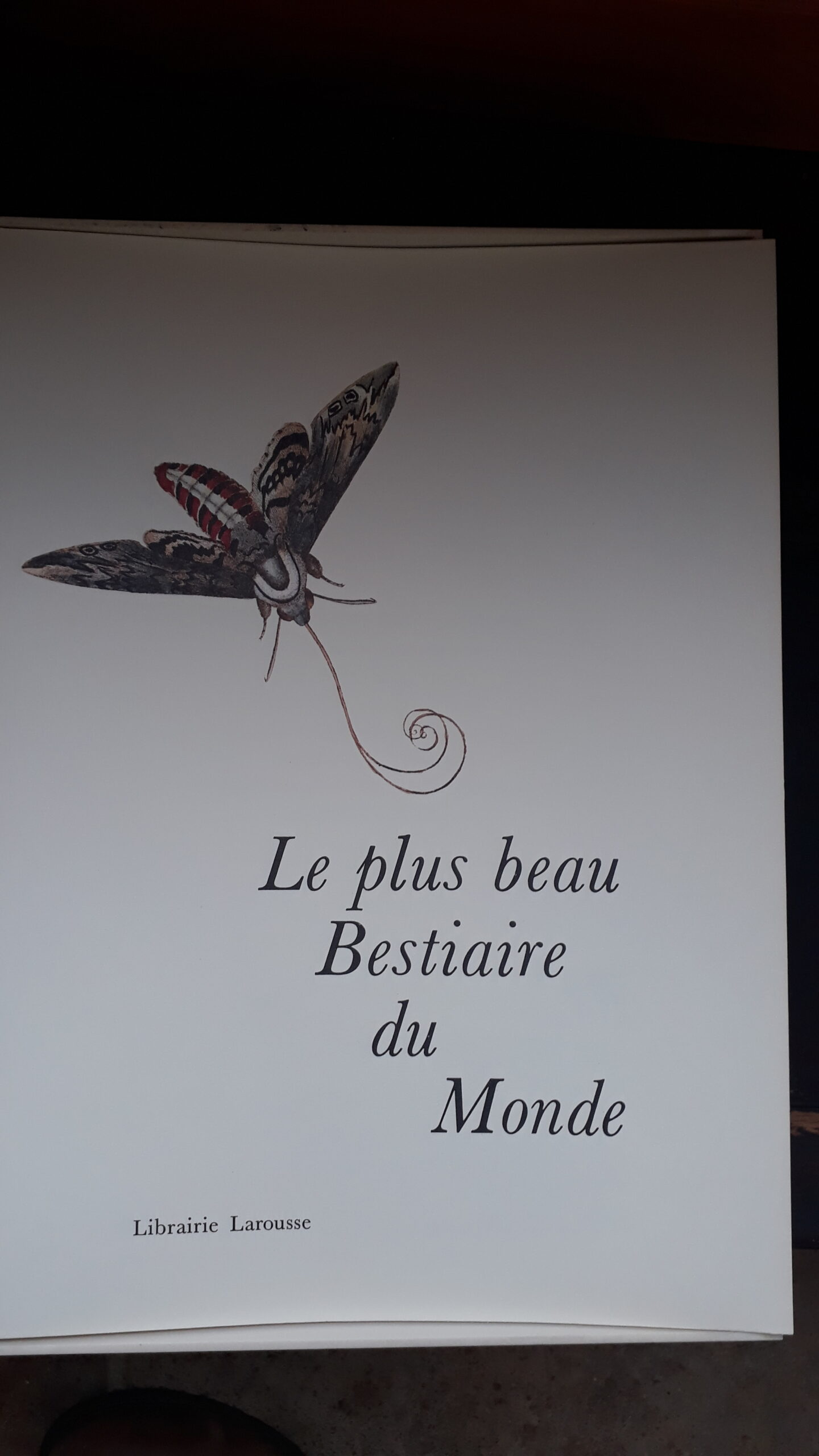 Collection Larousse : livres la vie des animaux Grassé (Pierre-Paul) La vie des animaux. – Image 11